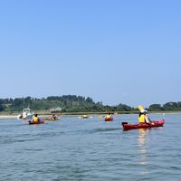 Kayak Through Crane Wildlife Refuge & Visit the Famous Clam Box | Save 10% with BOSCAL10 thumbnail