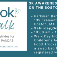 Step Out for Look. Foundation’s Inaugural Look. Walk thumbnail