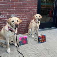 Dog Lick Painting Salem by Hoamsy  thumbnail