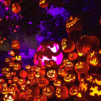 Jack-O-Lantern Spectacular: Trivia Edition thumbnail