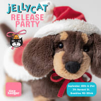 JellyCat Release Party thumbnail