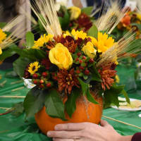 Pumpkin Floral Arrangement Workshop thumbnail
