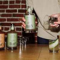 Mocktail Seminar with Tilden thumbnail