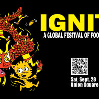 Ignite: A Global Street Food, Fire & Light Festival thumbnail