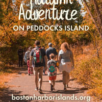Autumn Adventure on Peddocks Island thumbnail