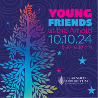 Young Friends of the Arnold Arboretum thumbnail