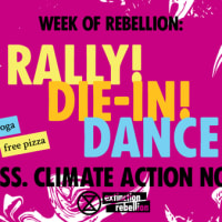 Rally, Die-in & Dance Party for Mass. Climate Action Now! thumbnail