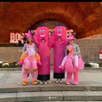 American Cancer Society & Channel 7 Foundation Making Strides Walk Boston thumbnail