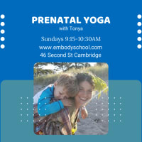 Prenatal Yoga thumbnail