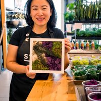 Moss Art Workshop  thumbnail