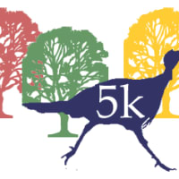 2024 Franklin Park Turkey Trot thumbnail