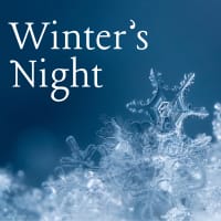 Winter's Night thumbnail
