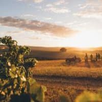 Broadbent Wine Pairing Dinner at View Boston  thumbnail