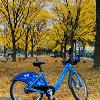 Free Bluebikes Day Passes on World Mental Health Day, Courtesy of Blue Cross Blue Shield of Massachusetts  thumbnail