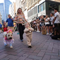 Doggone Halloween Parade thumbnail