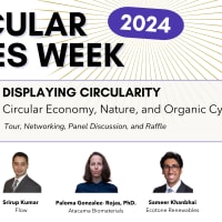 Displaying Circularity: Circular Economy, Nature, and Organic Cycles thumbnail