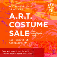 A.R.T. COSTUME SALE thumbnail