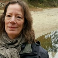 A Dialogue with The Veda: Hindu Scripture and the Transcendentalists thumbnail