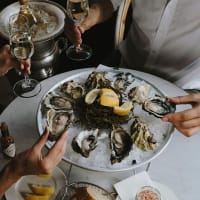 Free Orleans Oysters with Republic Fitness thumbnail