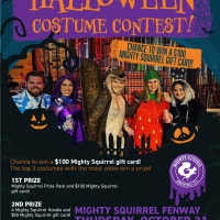 Mighty Squirrel Fenway Costume Contest thumbnail
