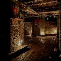 After-Hour Candlelight Crypt Tours thumbnail