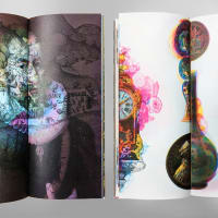 Subverting Expectations: the Contemporary Dimensions of a Rare Book Collection thumbnail
