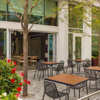 Yappy Hour on the Patio at Vela Seaport thumbnail