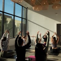 Yoga at Isla Oasis thumbnail