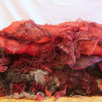 Artist Talk: Rhonda Smith and Wendy Seller thumbnail