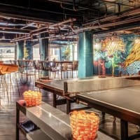 Free Ping Pong on Election Day -- “United by Ping Pong” thumbnail