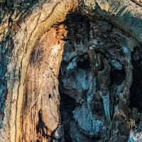 Art Reception: Intimate Vistas by Marc Goldring thumbnail