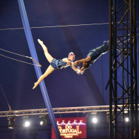 Do Portugal Circus thumbnail