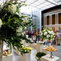 Nowruz at Museum of Fine Arts Boston thumbnail