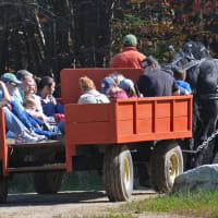 Experience the Magic of an Old-Time Wagon Ride at Charmingfare Farm! thumbnail