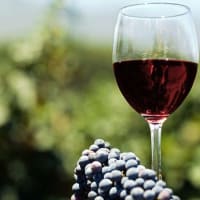 Tour of the Tre Venezie Wine Dinner thumbnail