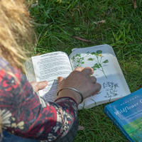 Nature Notepad - Nature Journaling thumbnail