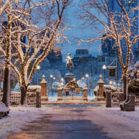 Holidays. Harmony. Hope.  Celebrating 75 Years of Choral Artistry thumbnail
