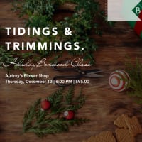 Beauport Hotel Boxwood Tree Class thumbnail