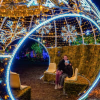 Holiday Lights Spectacular thumbnail