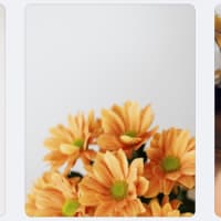 Botanical Watercolor Workshop (Beginner Friendly) thumbnail