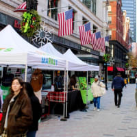 Downtown Boston Holiday Market thumbnail