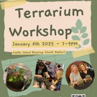 Terrarium Workshop @ Castle Island thumbnail