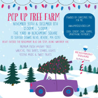 Pop Up Tree Farm  thumbnail