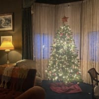 Gaslight & Garlands: Holiday Evening Tour thumbnail