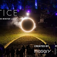 SOLSTICE: Reflections on Winter Light thumbnail