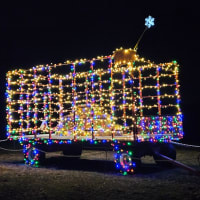 Powisset Holiday Pig Wagon  Lighting thumbnail