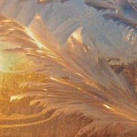 Event: Winter Solstice Celebration at PEM thumbnail