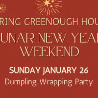 Lunar New Year Celebration - Dumpling Party and Kung-Fu thumbnail