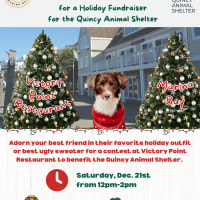 Pups to Display Their Holiday Finest to Benefit Quincy Animal Shelter thumbnail