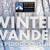 Winter Wander on Peddocks Island thumbnail